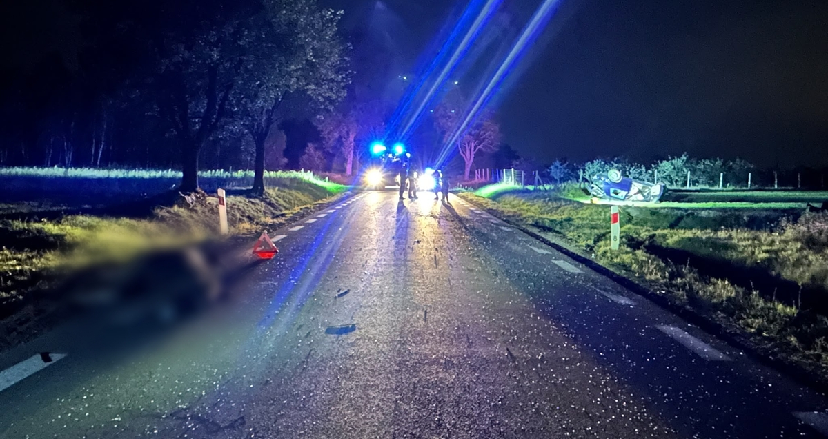 Wypadek z udziałem łosia. Kierowcę samochodu przetransportowano do szpitala